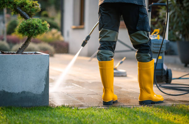 Best Local Pressure Washing Services  in Sibley, LA